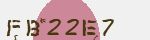 보안 코드